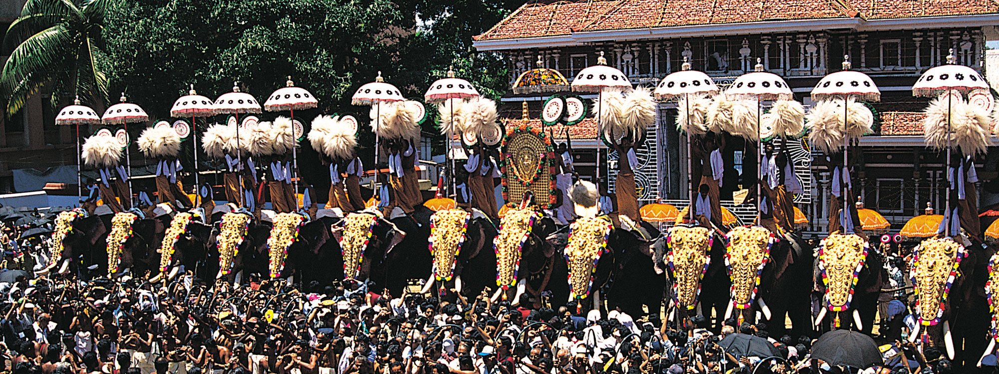 Trichur Pooram