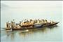Angling Tour