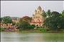 wildlife tiger tour