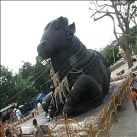 The Bull Temple