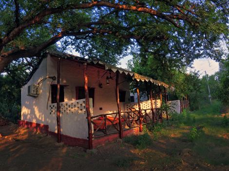Chambal Safari lodge