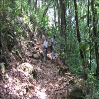 Kudremukh