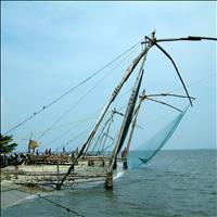 Chinese Fishing Nets