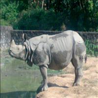 Assam Zoo