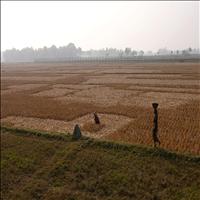 The Indo - Bangla Border