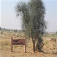 Desert National Park