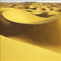 Sand Dunes in Jaisalmer