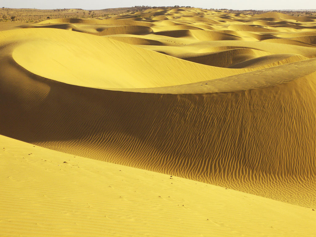 Барханы ханы. Пески дюн и барханов. Песчаные дюны Раджастхан. Пустыня Барханы Оазис. Пустыня Барханы Саудовская.