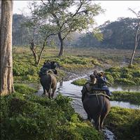 The Jaldapara Wildlfe Sanctuary