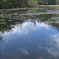 Berijam Lake