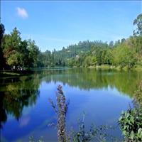 Kodaikanal Lake