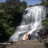 Bear Shola Falls