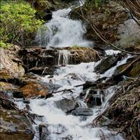 Great Himalayan National Park