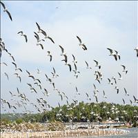 Kadalundi Bird Sanctuary