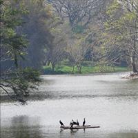 Lingabudi Lake