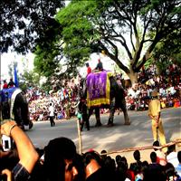 Mysore Dasara