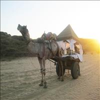 Evening at  Desert in Pushkar