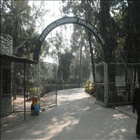 Chattbir Zoo