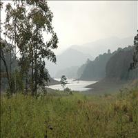 Wildlife Attractions in Periyar National Park