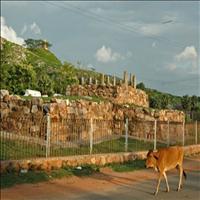 The Ajatshatru Fort