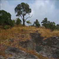 Balpakram National Park