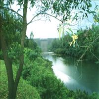 The Koyna dam