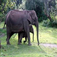 Kalakadu Wildlife Sanctuary