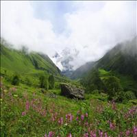 Nanda Devi National Park