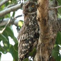 Govind Wildlife Sanctuary