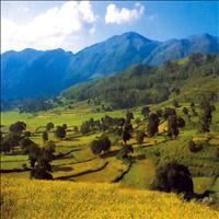 The Araku valley