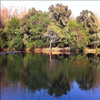 Kuruva Island Kuruva Island