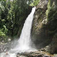 Soochippara Waterfall Soochippara Waterfall