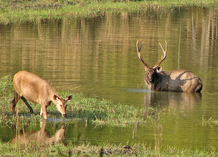 image of jodpur